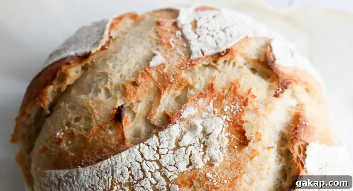 Up close image of artisan sourdough loaf. 