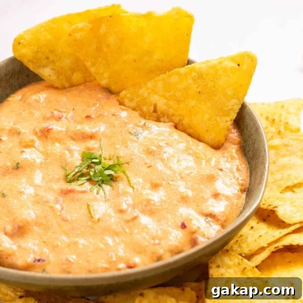 An image of queso in a bowl with nacho chips on the side.