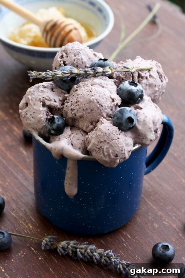 Blueberry Lavender Cheesecake Ice Cream (Sugar-Free) 2 Easy sugar free blueberry cheesecake ice cream is a delicious dessert made from just 5 ingredients! This recipe can be used without an ice cream maker.