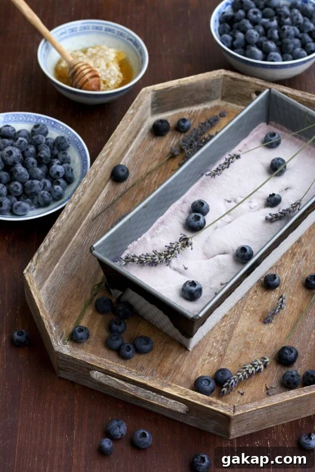 Blueberry Lavender Cheesecake Ice Cream (Sugar-Free) 3 Easy sugar free blueberry cheesecake ice cream is a delicious dessert made from just 5 ingredients! This recipe can be used without an ice cream maker.