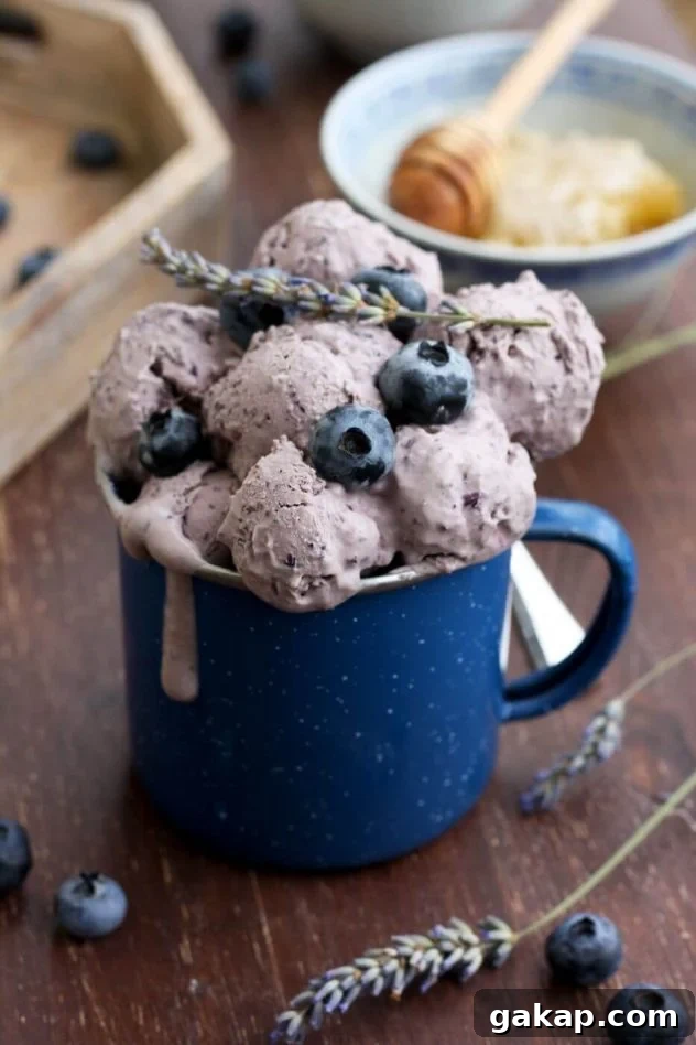 Blueberry Lavender Cheesecake Ice Cream (Sugar-Free) 4 Easy sugar free blueberry cheesecake ice cream is a delicious dessert made from just 5 ingredients! This recipe can be used without an ice cream maker.