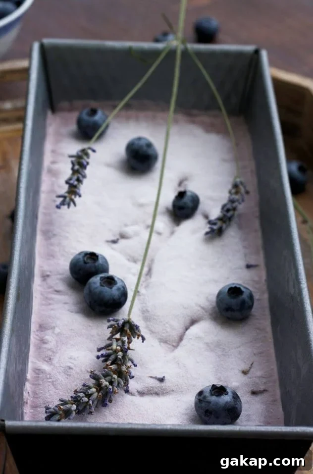 Blueberry Lavender Cheesecake Ice Cream (Sugar-Free) 5 Easy sugar free blueberry cheesecake ice cream is a delicious dessert made from just 5 ingredients! This recipe can be used without an ice cream maker.