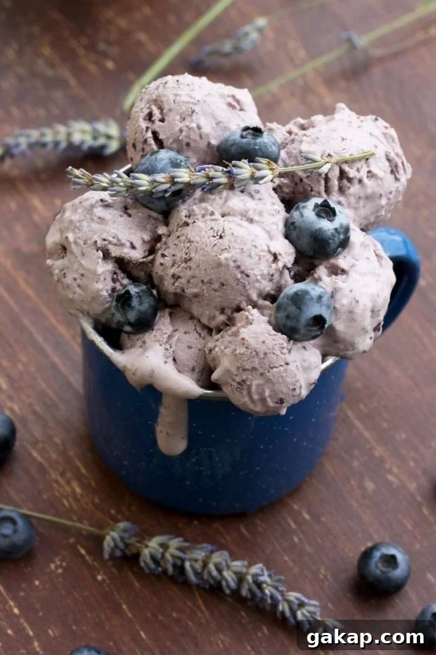 Blueberry Lavender Cheesecake Ice Cream (Sugar-Free) 6 Easy sugar free blueberry cheesecake ice cream is a delicious dessert made from just 5 ingredients! This recipe can be used without an ice cream maker.