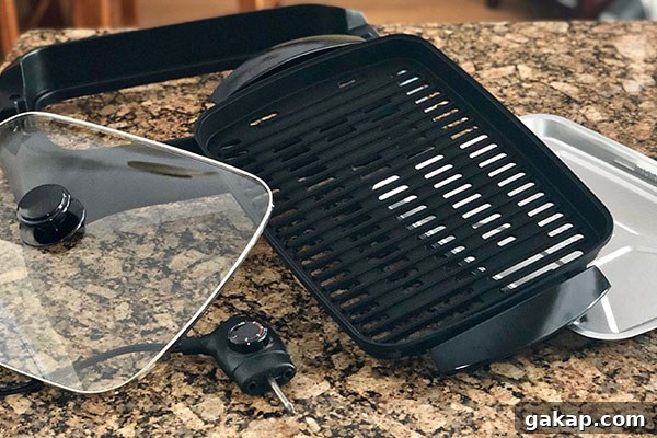 parts of the Delonghi Perfecto Indoor Grill