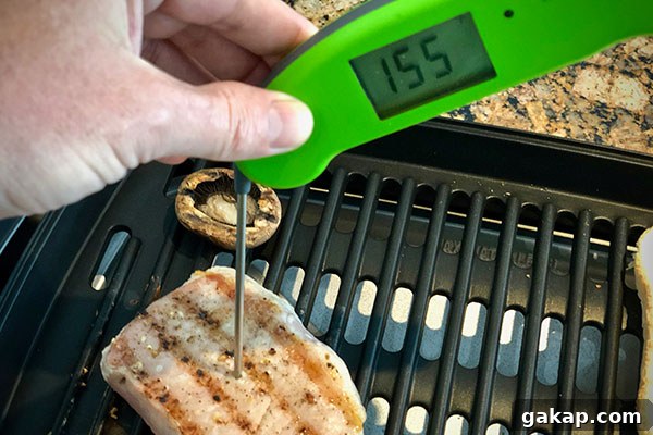 Measuring internal meat temperature cooked on the Delonghi Perfecto Indoor Grill