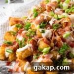 close up of loaded tater tots