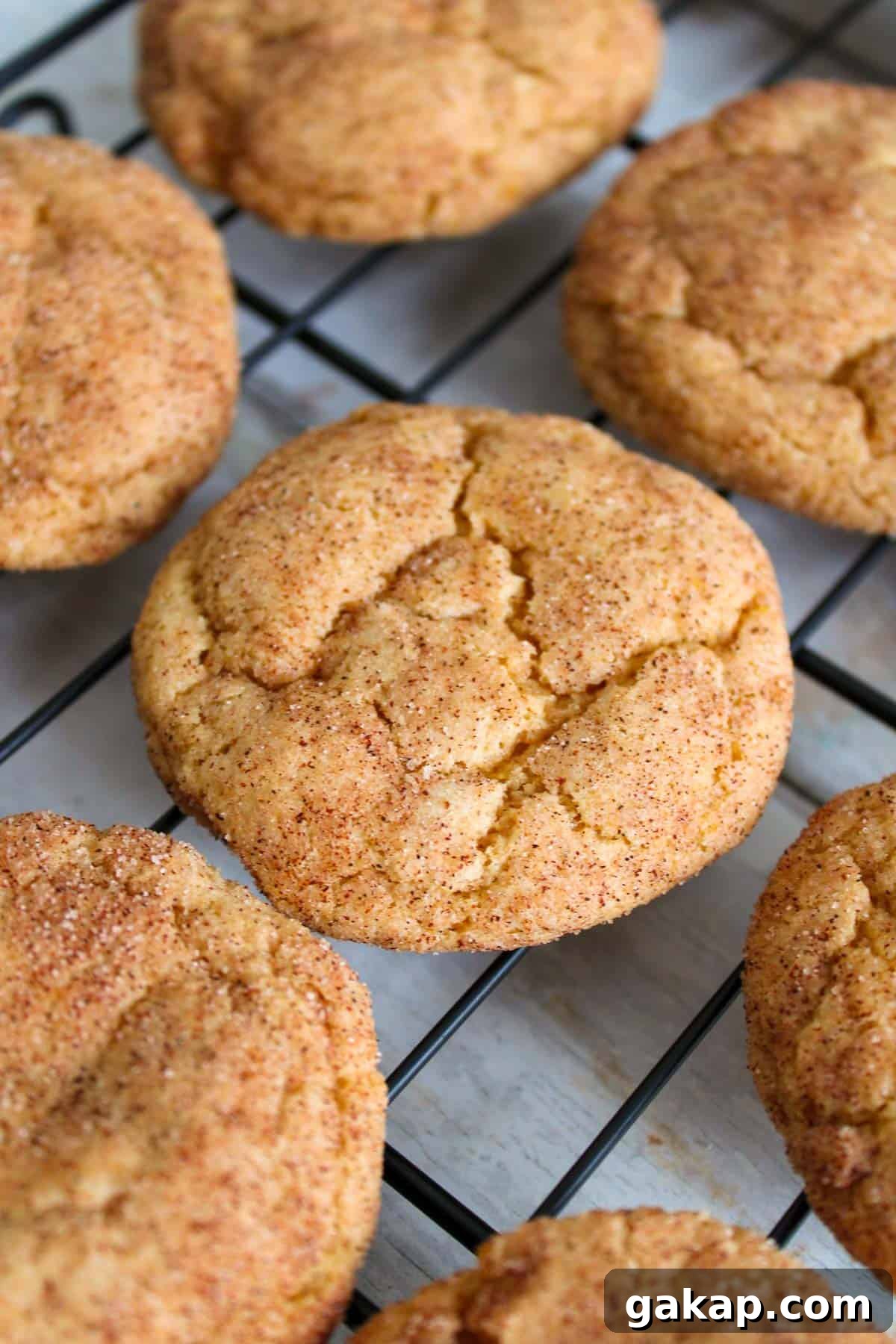 Cooling rack with pumpkin snickerdoodles on it.