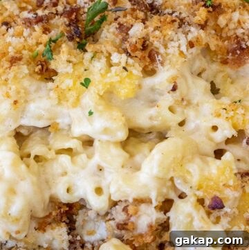 Smoked Gouda Macaroni and Cheese Recipe 3 smoked gouda mac and cheese on a plate
