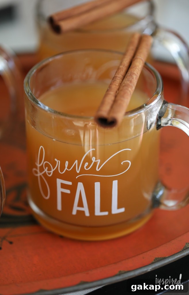 14 Memorable Friendsgiving Recipes Everyone Will Rave About 11 hot apple cider in a glass mug for Friendsgiving food ideas