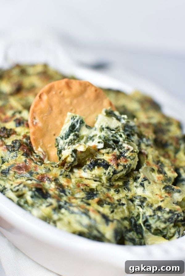 Creamy Caramelized Shallot Dip Recipe for Parties 6 A round pita chip being dipped into a creamy spinach artichoke dip
