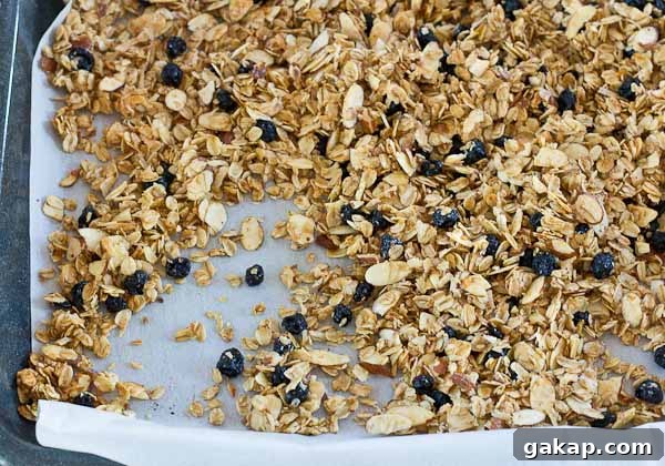 Blueberry Muffin Granola