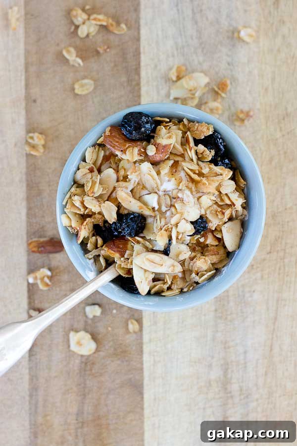 Blueberry Muffin Granola