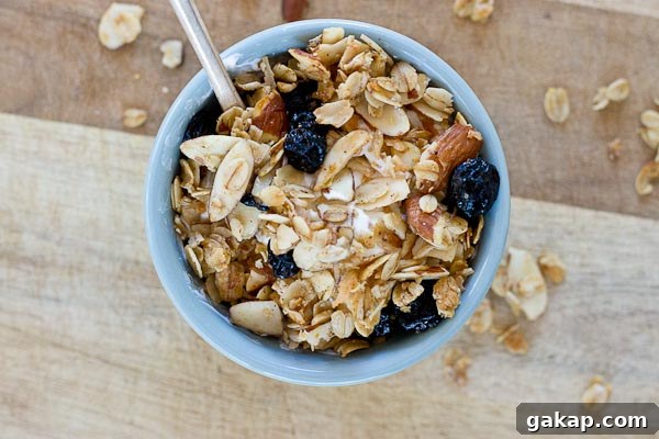 Blueberry Muffin Granola