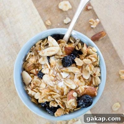 Blueberry Muffin Granola