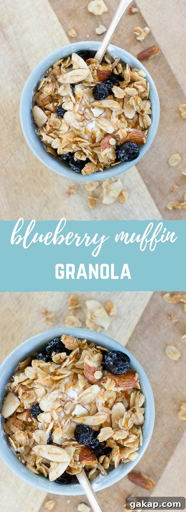 Blueberry Muffin Granola final