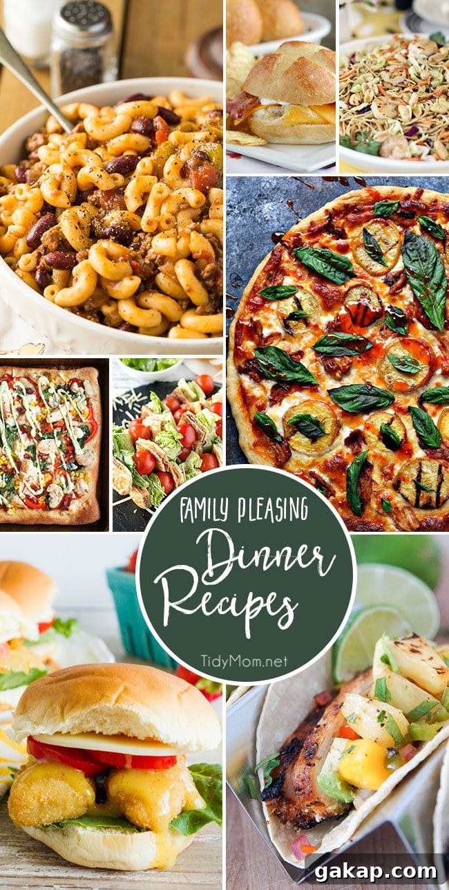 Dinnertime can be challenging, especially if you have picky eaters at home. Luckily, there are plenty of simple, delicious recipes that will satisfy whole family. Find Family pleasing DINNER RECIPES at TidyMom.net