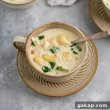 A mug filled with creamy chicken gnocchi soup.
