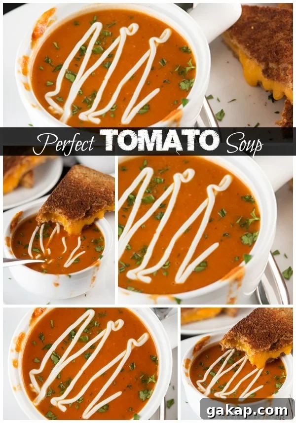 Tomato soup collage