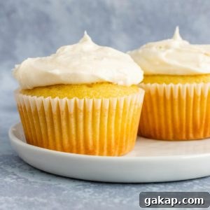 Two vanilla cupcakes topped with buttercream frosting.