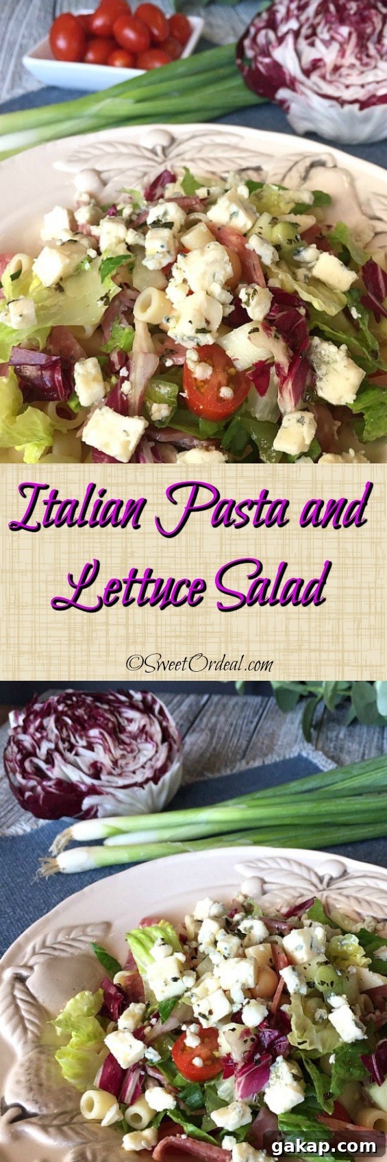 You'll be proud to serve my Italian Pasta and Lettuce Salad to friends and family. Italian Pasta and Lettuce Salad