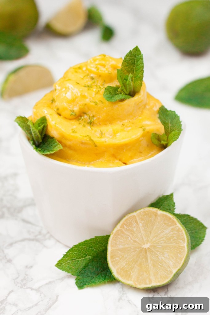 Frozen Yogurt Mango Soft Serve