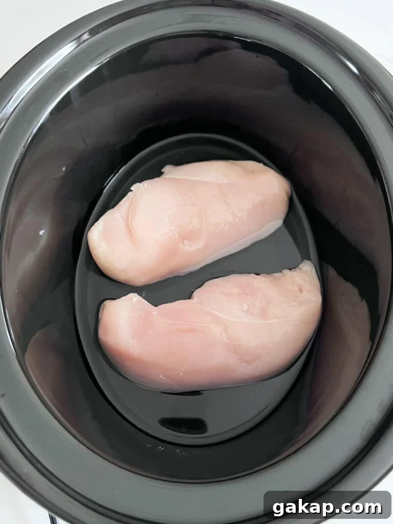 Raw chicken breasts and water in the pot of a slow cooker