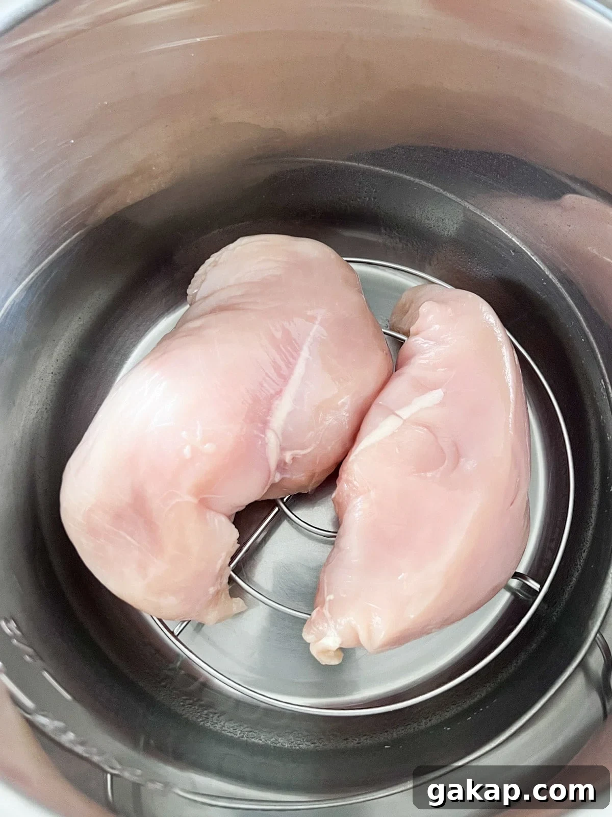 Raw chicken breasts on a metal rack in an instant pot with water at the bottom.