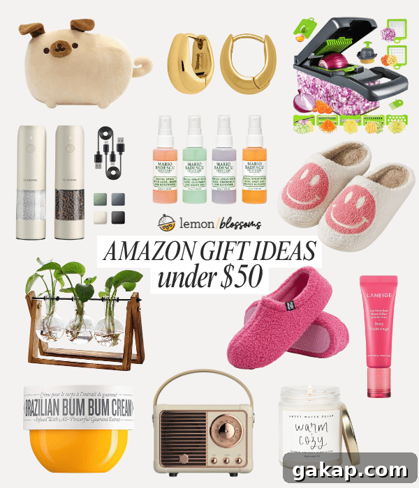 Photo Collage with various gifts for the holiday under $50. 