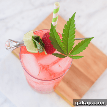 Raspberry Mojito: Cannabis-Infused Cocktail or Mocktail Guide 10 A picture of a raspberry cannabis mojito.