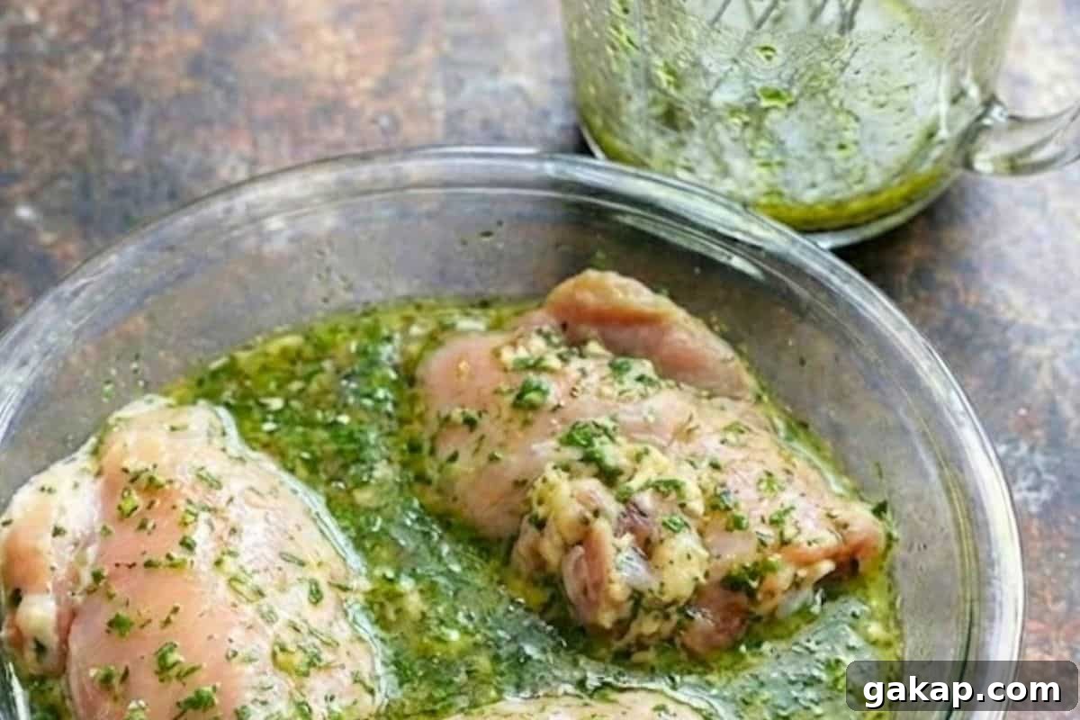 Lemon-Herb Avocado Chicken Salad Recipe for Light Lunch 5 Add the chicken to the dish and coat well