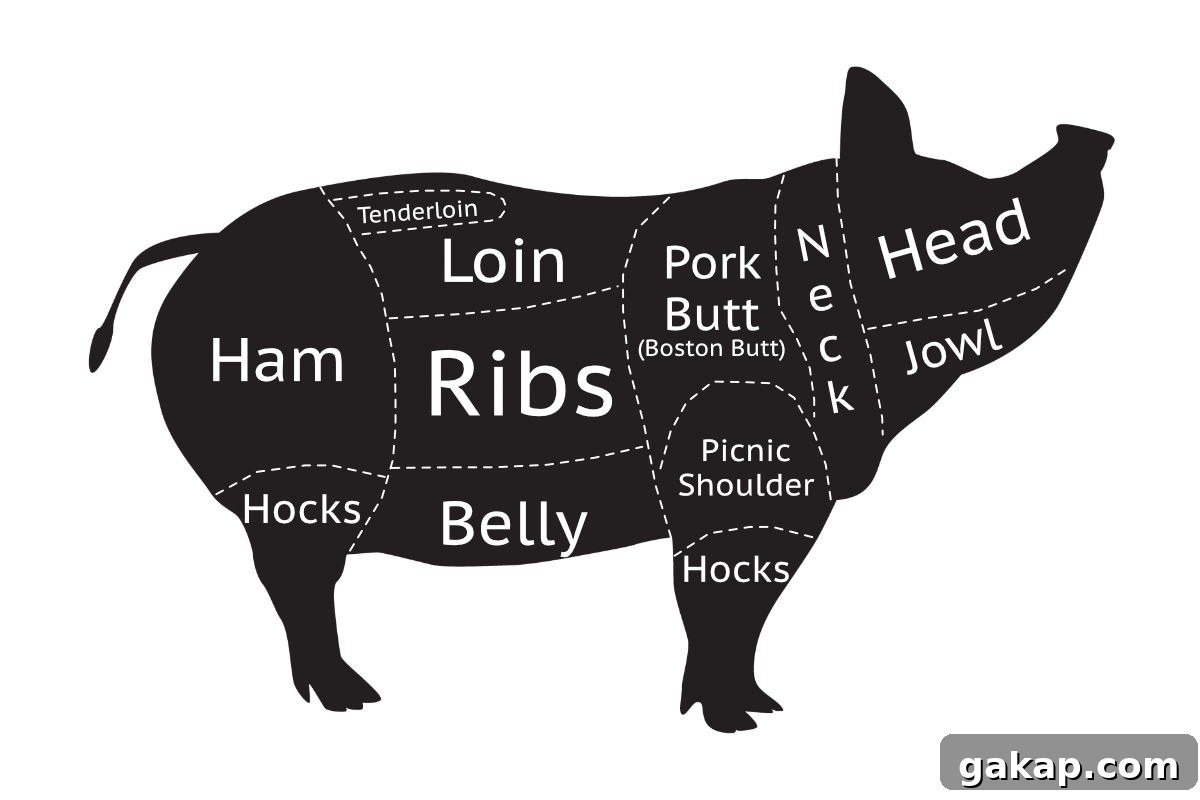 Baby Back Ribs vs St. Louis Ribs: Key Differences and Cooking Tips 4 img 5597 3