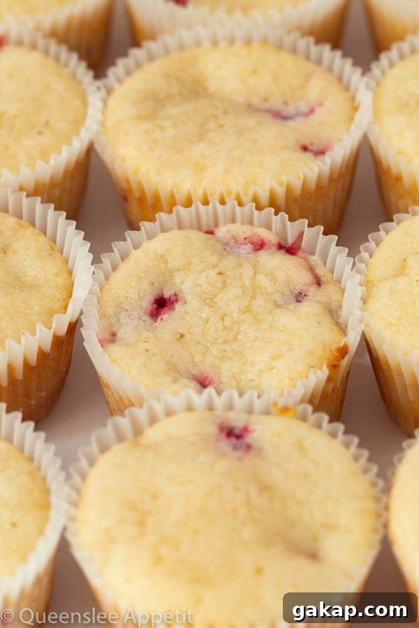 White Chocolate Strawberry Cupcakes with Ganache Drizzle 8 White Chocolate Covered Strawberry Cupcakes