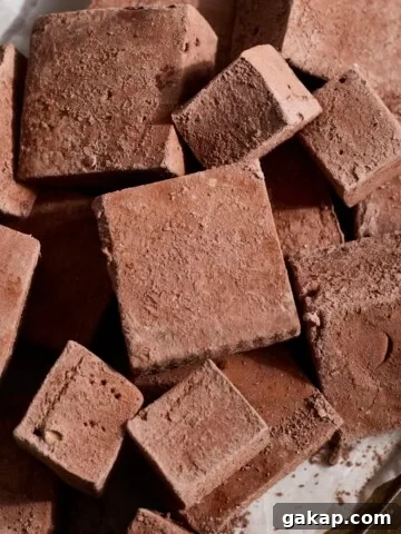 A pile of Chocolate Marshmallows.