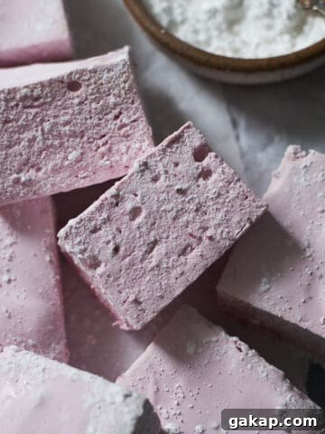 A sideview of two Blackberry Marshmallows.