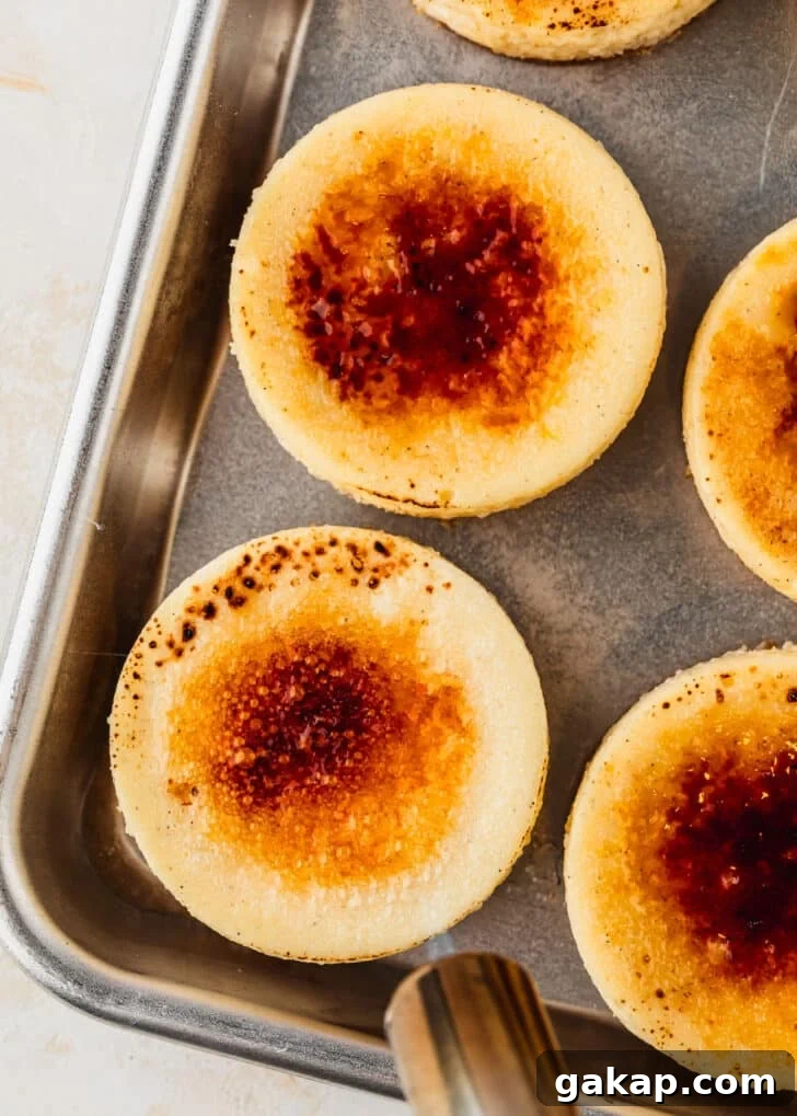 A torch bruleeing mini creme brulee cheesecakes.