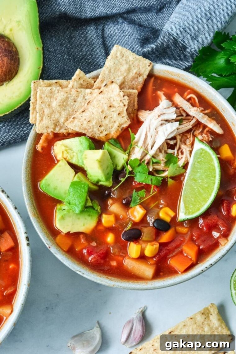 Mexican Soup With Chicken