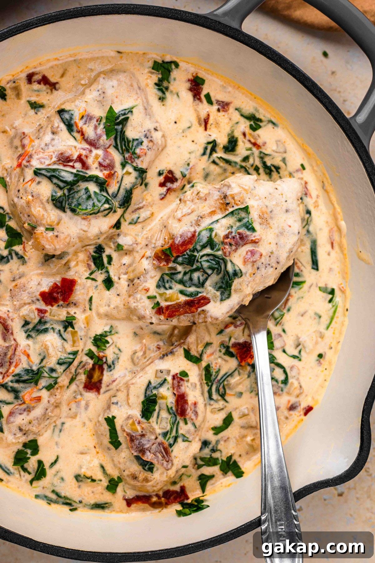 creamy chicken in parmesan sauce