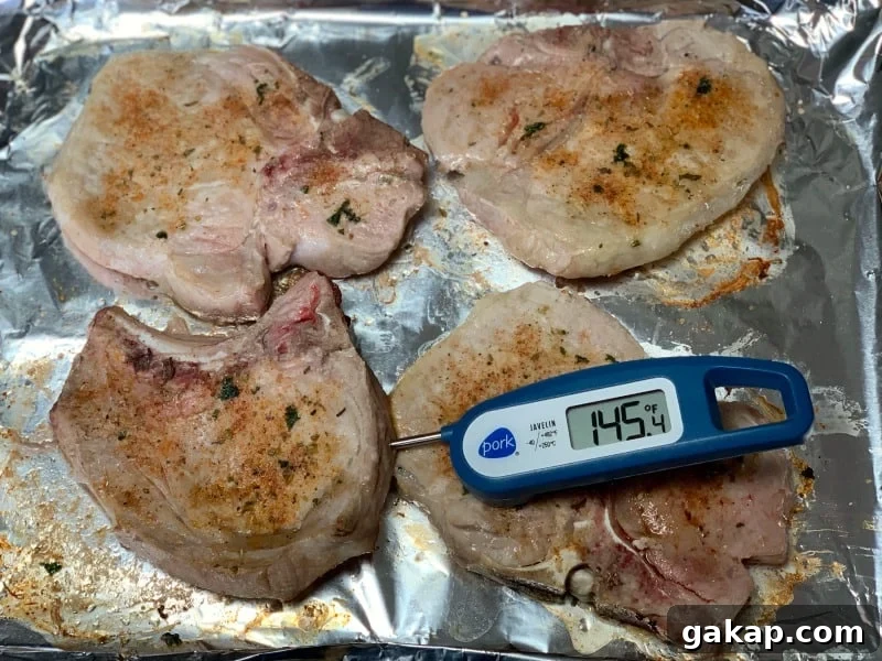 how to use a meat thermometer in baked pork chops