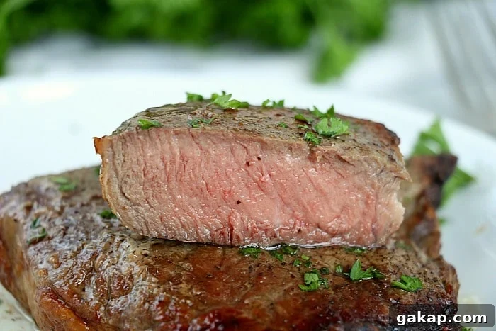 frozen air fryer steak