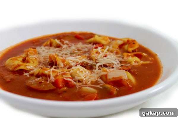 Crock-Pot Skinny Pepperoni Pizza Soup