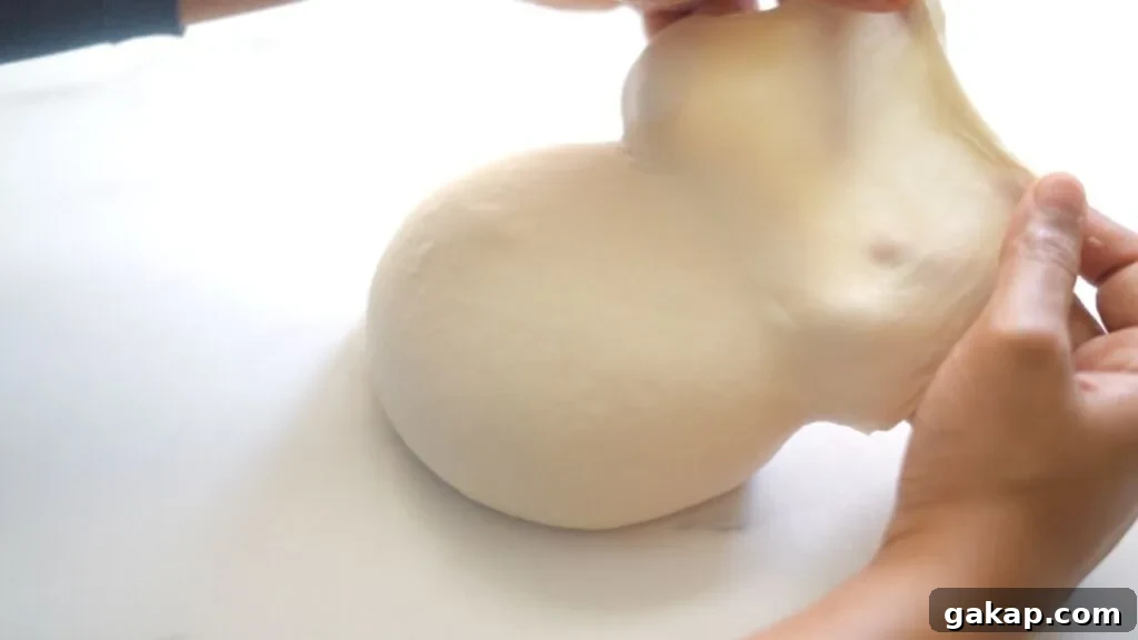 7 Reasons Your Bread Dough Isn’t Rising — Causes and Fixes 6 window pane test