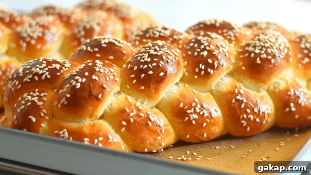 7 Reasons Your Bread Dough Isn’t Rising — Causes and Fixes 8 braided challah bread