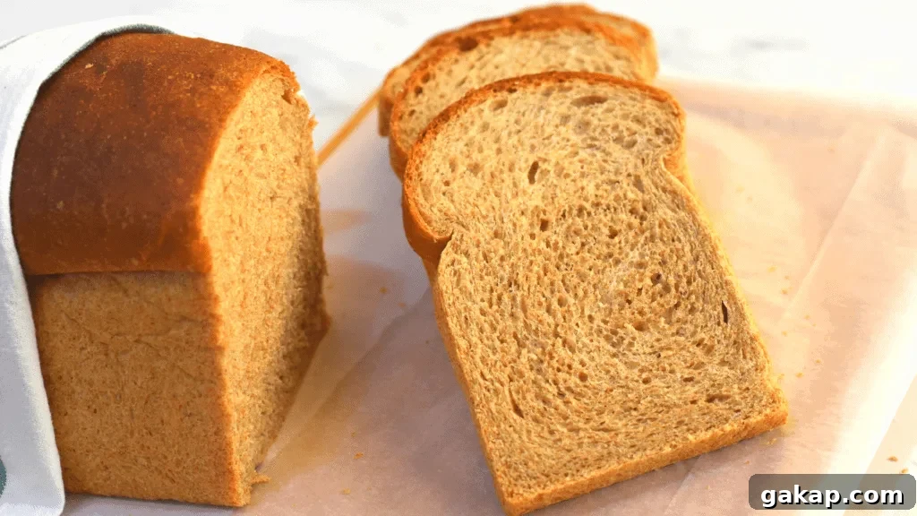 7 Reasons Your Bread Dough Isn’t Rising — Causes and Fixes 9 Brown bread recipe which uses both whole wheat flour and all purpose flour to prevent any chance of dough not rising.
