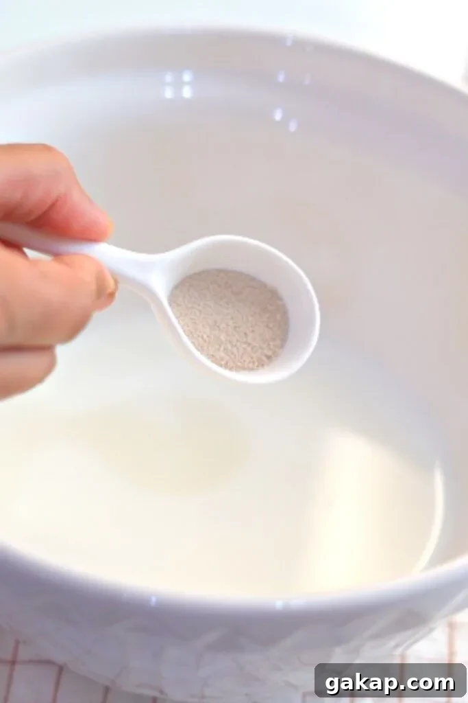 7 Reasons Your Bread Dough Isn’t Rising — Causes and Fixes 2 Fresh and active yeast help the dough to rise