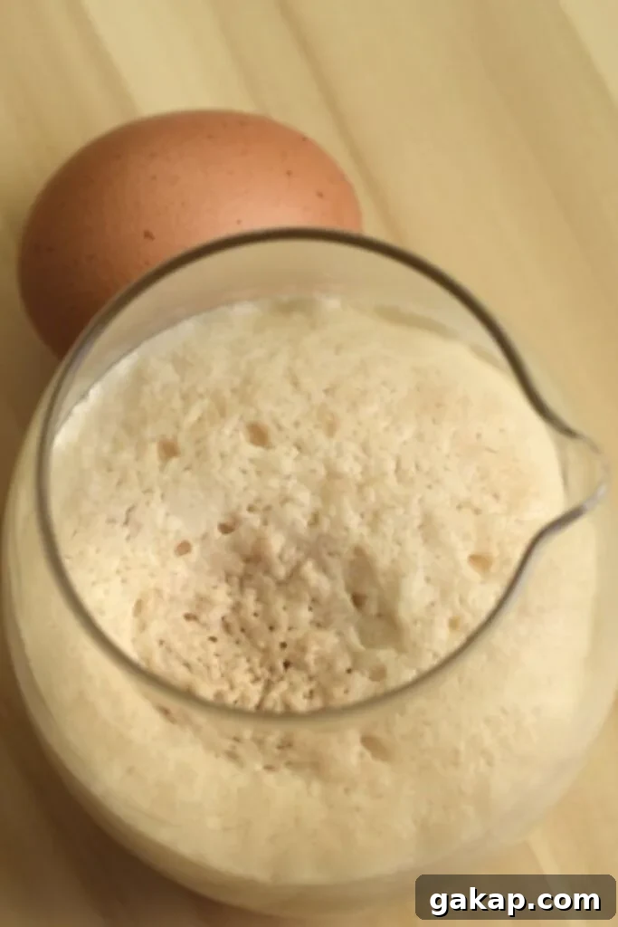 7 Reasons Your Bread Dough Isn’t Rising — Causes and Fixes 3 Bubbly active yeast for dough rising