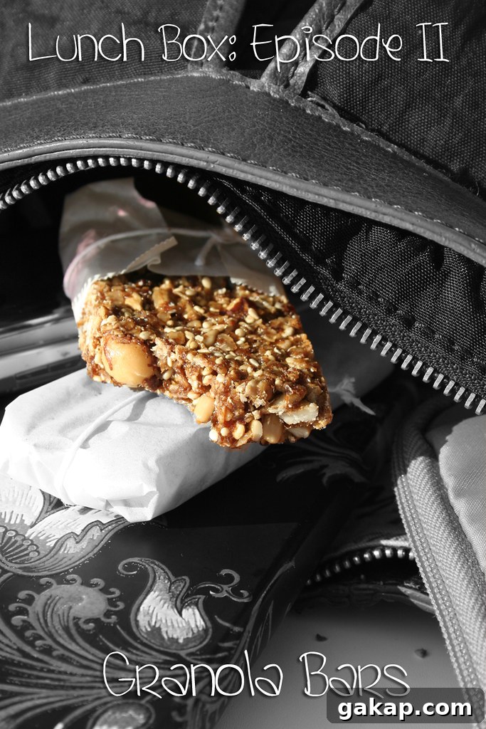 Granola bars preparation