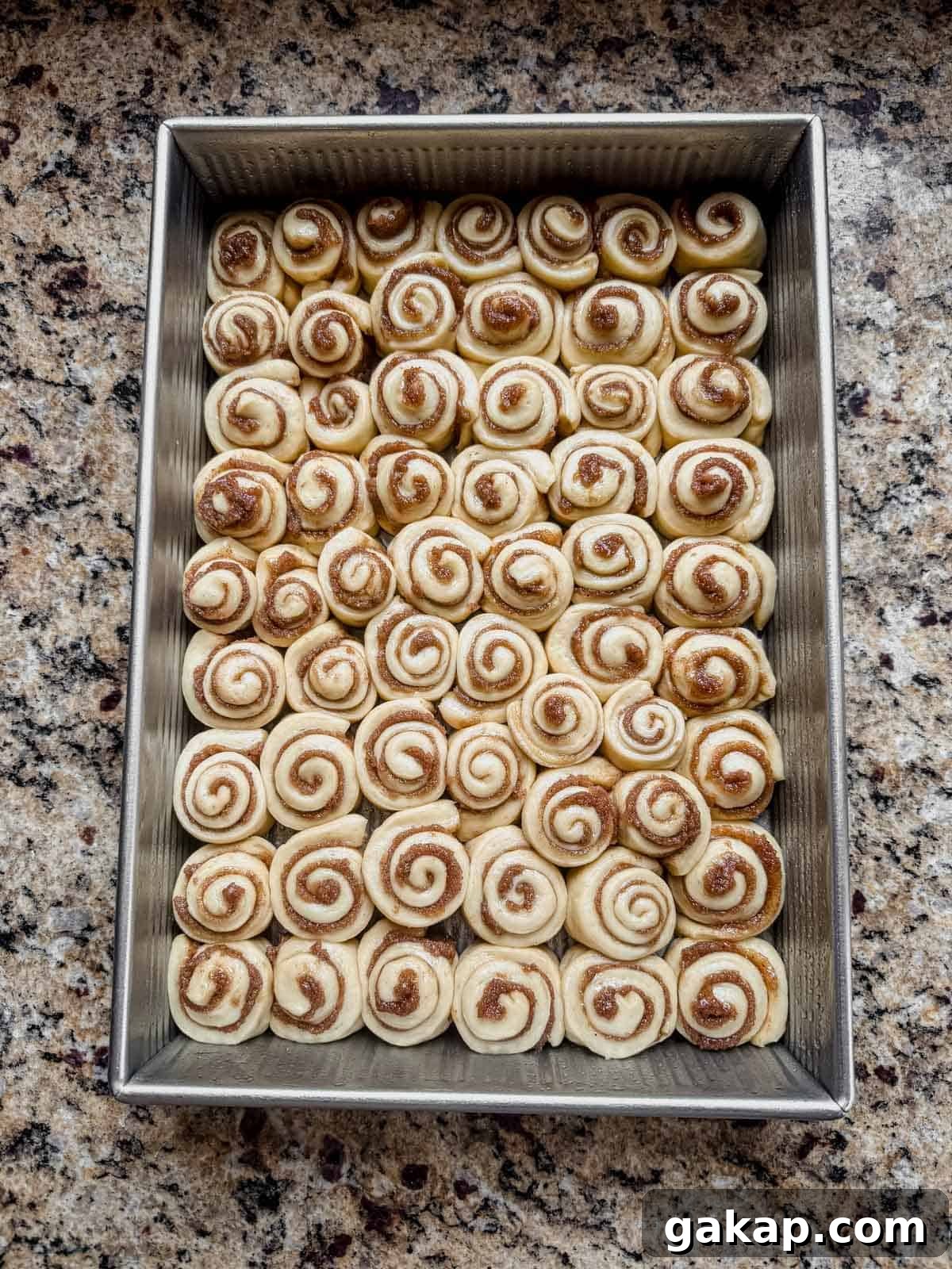 mini cinnamon rolls in a pan after proofing.