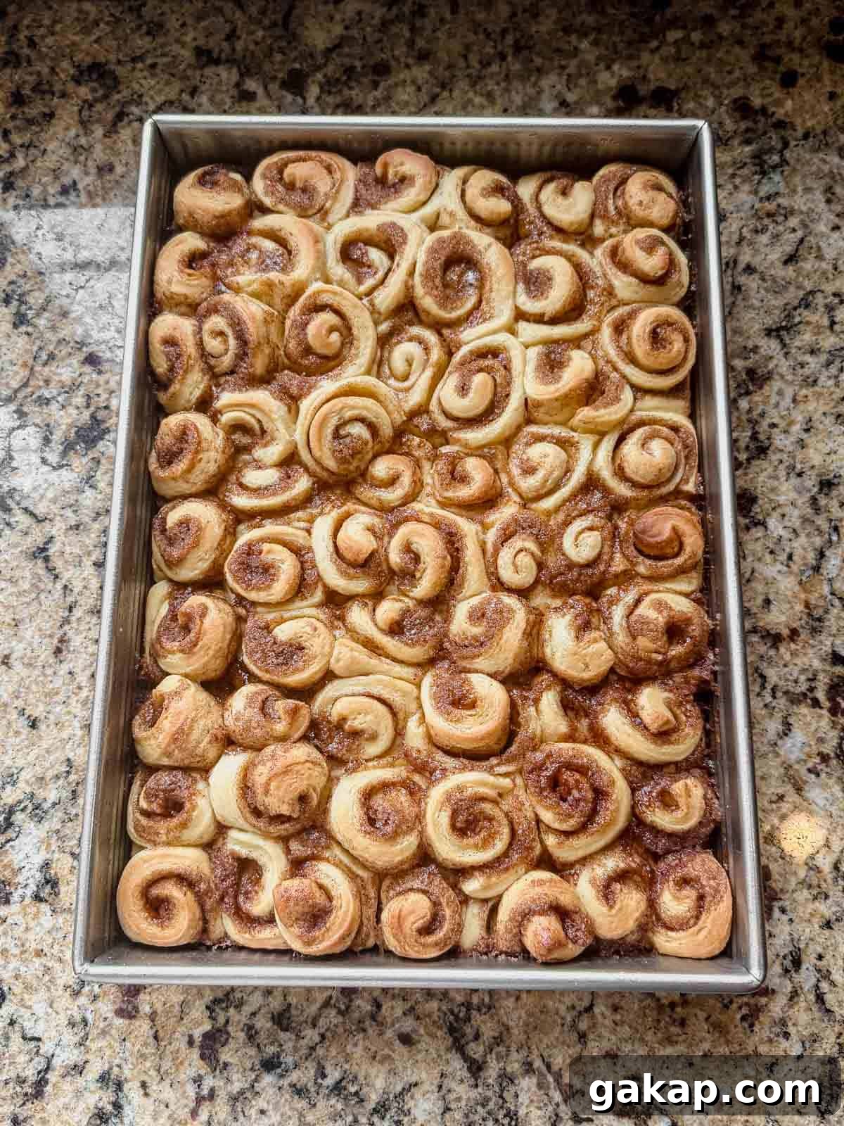 baked mini cinnamon rolls cooling in a pan.