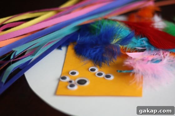 supplies for paper plate bird craft