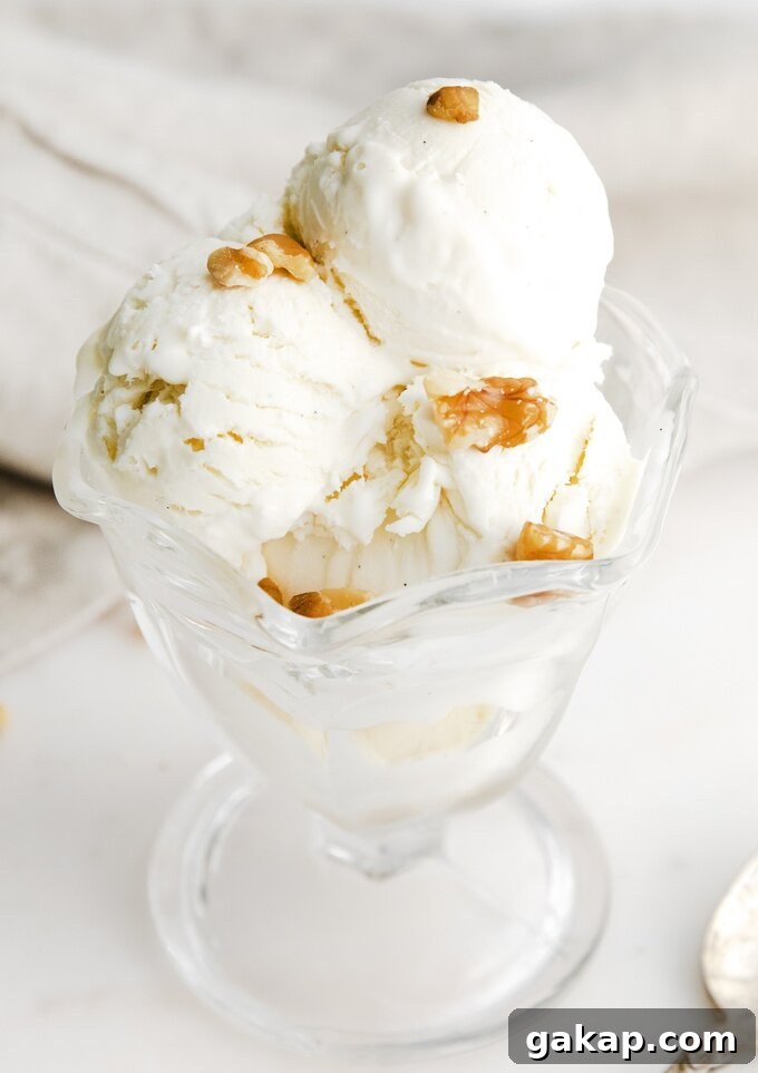 Vanilla Bean Ice Cream